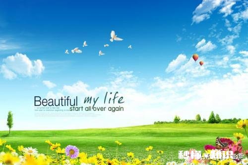 人生最苦的事莫过于日子过得一天不如一天，能怎么办