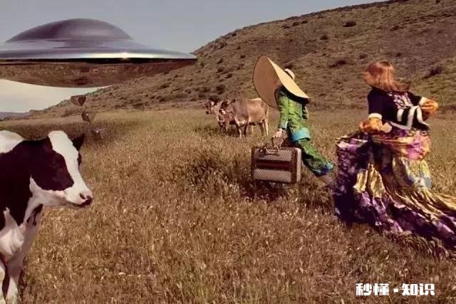 “爆款制造机”Gucci今年的早秋新品有哪些亮点