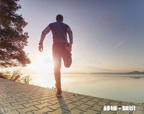 经常锻炼的好处有哪些