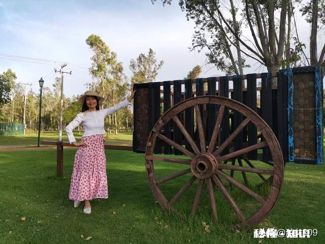 夏天的花裙子哪款好穿百搭又时髦的