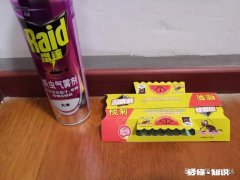 家里小蟑螂很多怎么办