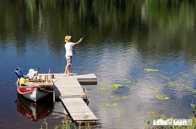 窝料和饵料一般用一样的好,还是用不一样的