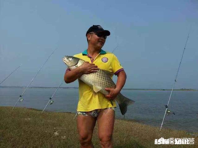 窝料和饵料一般用一样的好,还是用不一样的