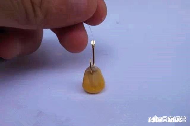 窝料和饵料一般用一样的好,还是用不一样的