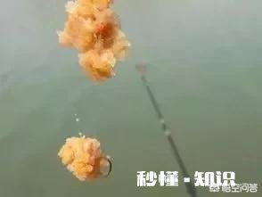 窝料和饵料一般用一样的好,还是用不一样的