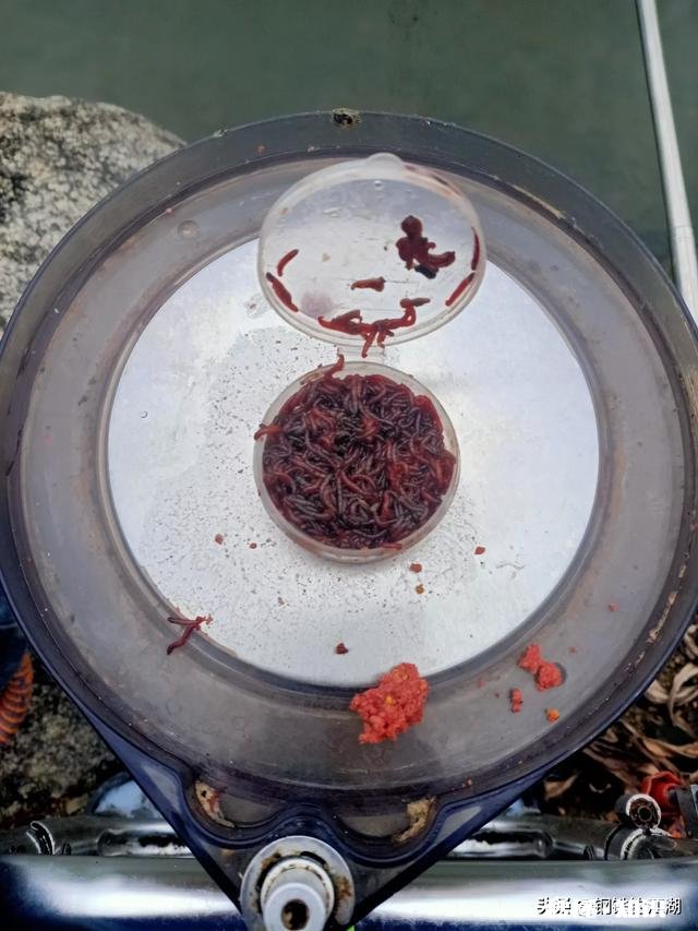 鲫鱼用什么饵料钓最好