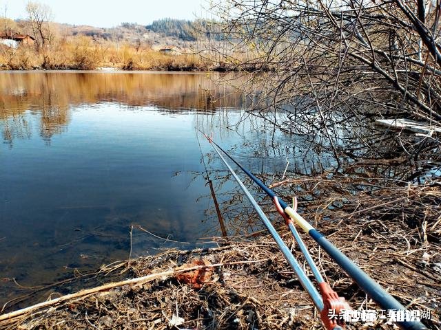 钓鱼人，你的初心还在吗