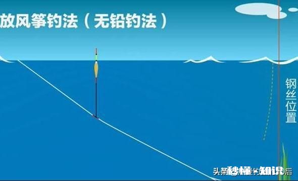 钓黑坑青鱼使用子线加铅行吗