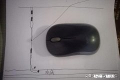 钓黑坑青鱼使用子线加铅行吗