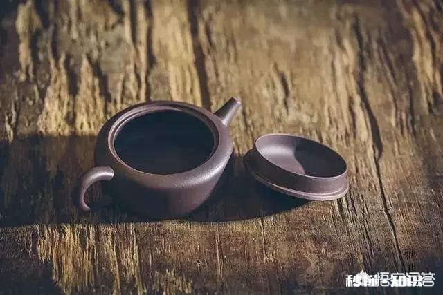 人类的共同点是什么