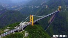 外籍华人因疫情回国应该如何应对