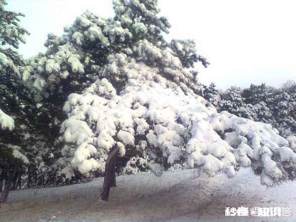 上联：春花夏柳秋菊冬梅四季景，如何对下联