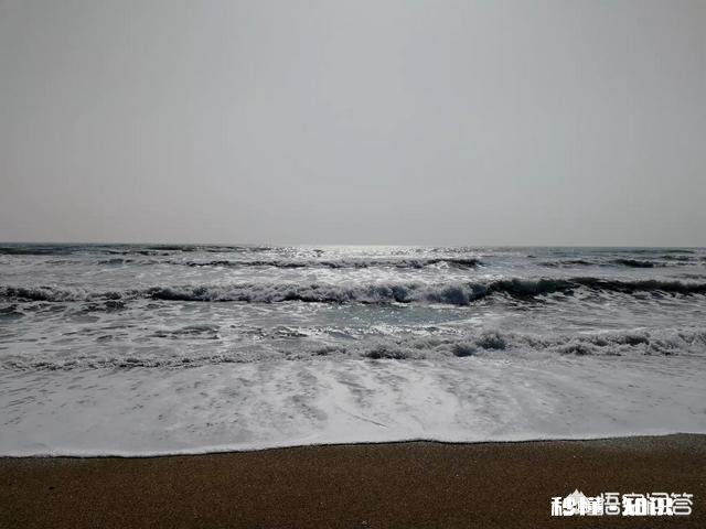 上联：春花夏柳秋菊冬梅四季景，如何对下联