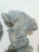 初中刚毕业应该学些什么好