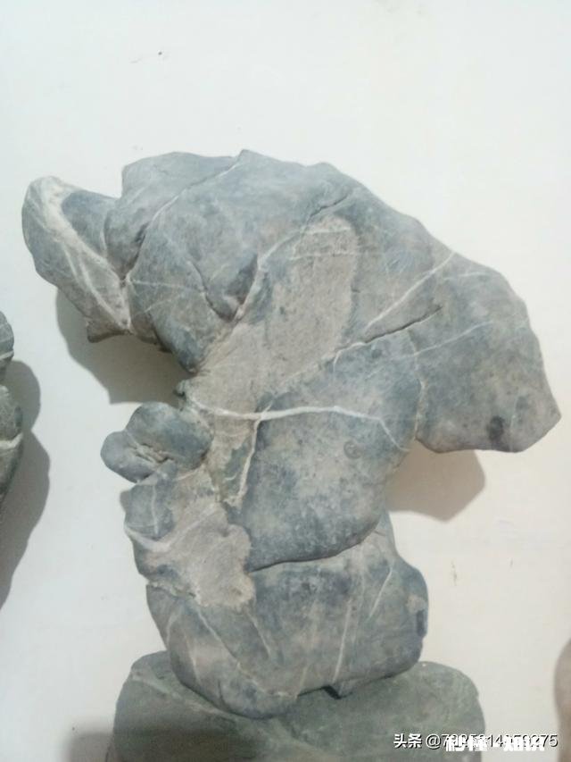 初中刚毕业应该学些什么好