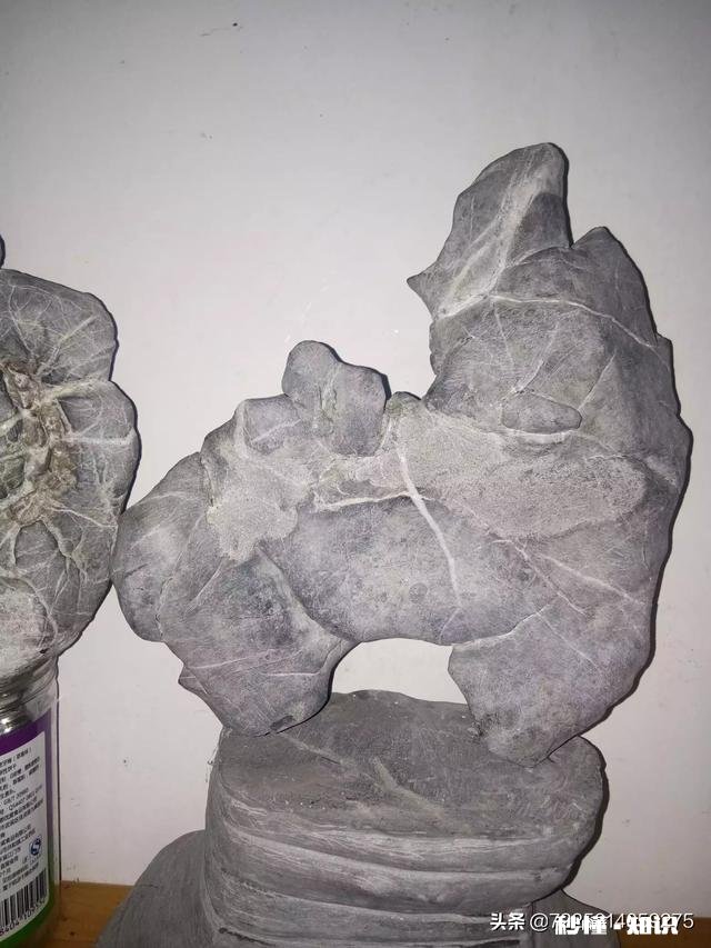 初中刚毕业应该学些什么好