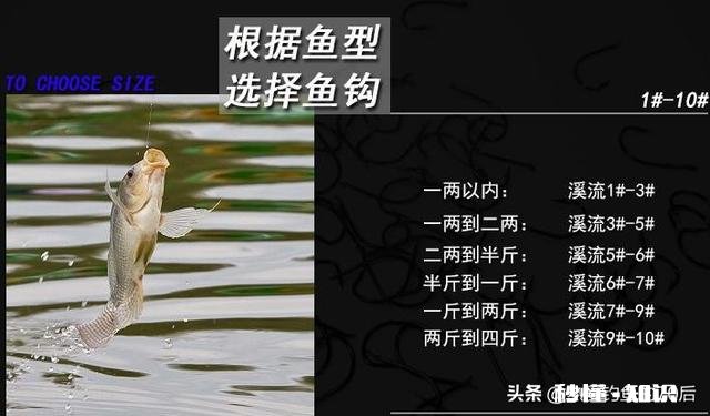 怎么应对低温天气对鱼口的影响