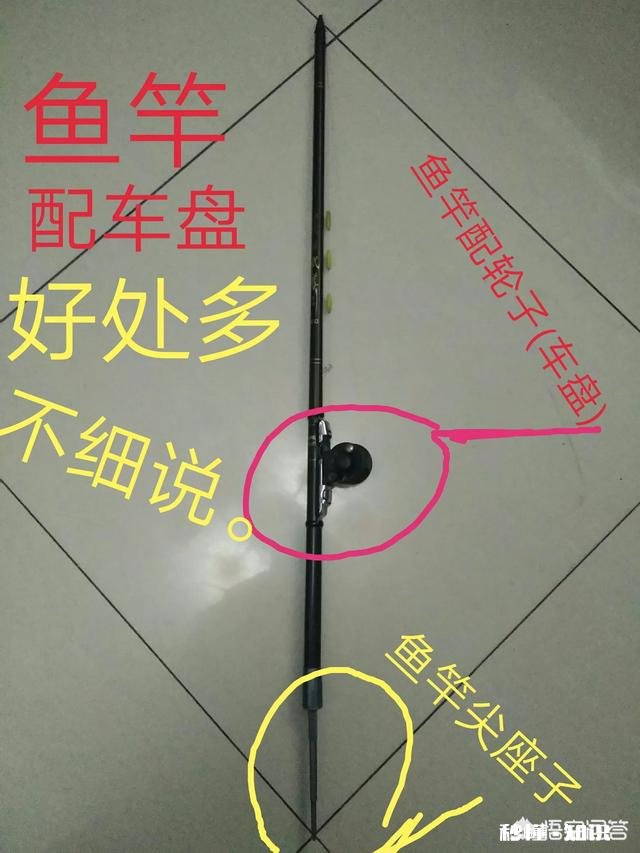 春季钓鲤鱼，天时地利人和都齐了，害怕钓不上鱼吗