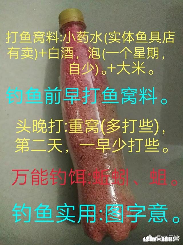 春季钓鲤鱼，天时地利人和都齐了，害怕钓不上鱼吗