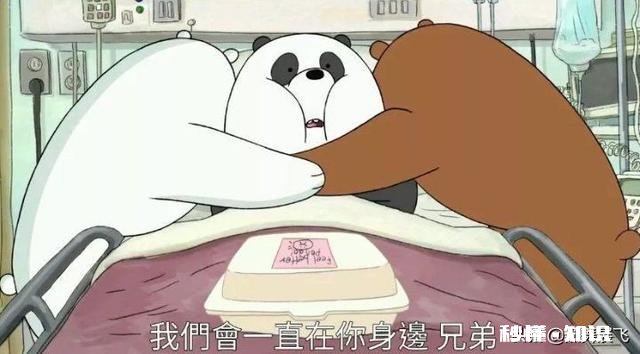 你听过的最能引起共鸣的话是什么