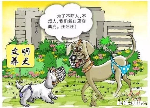 你听过的最能引起共鸣的话是什么