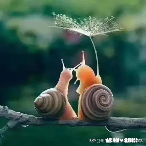 当今真的有爱情吗