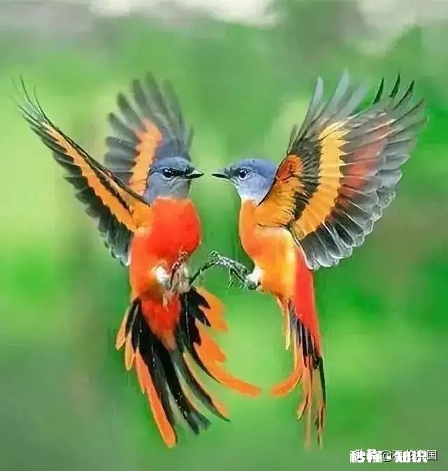 当今真的有爱情吗