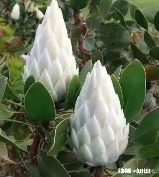 当今真的有爱情吗