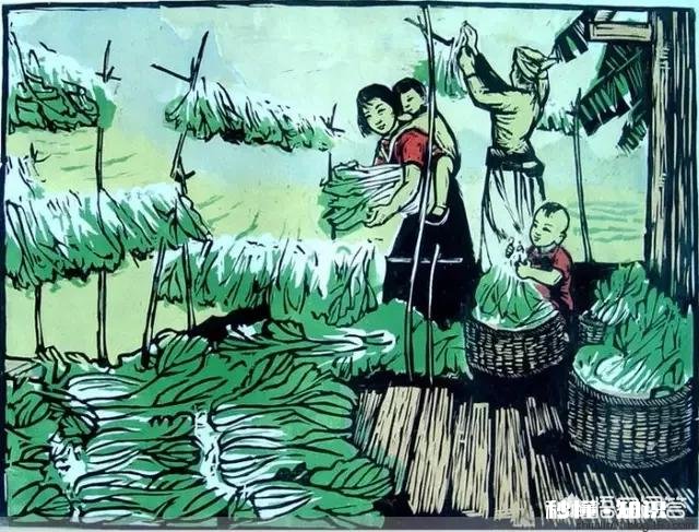 有人将知行合一的“知”解释为知识，对不对