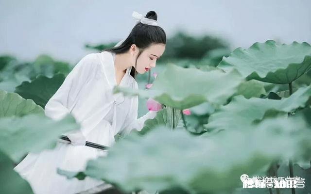 可以说两句你喜欢的古诗词吗