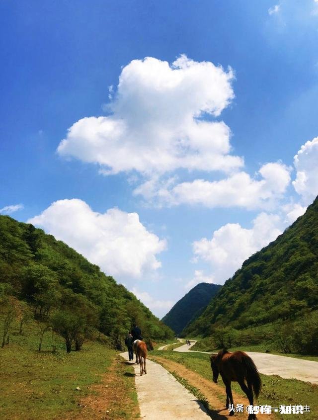 今年的国庆游玩，你有遇到被坑的事情吗，分享下