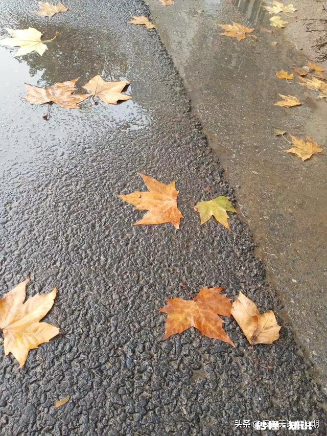 头条文章去哪里素材、新手该怎么上手比较好