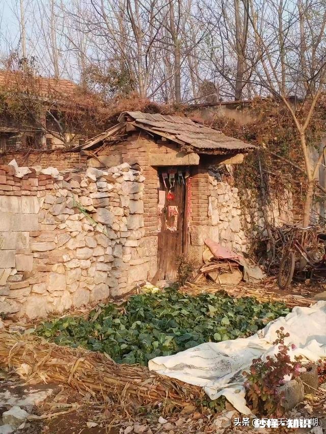 头条文章去哪里素材、新手该怎么上手比较好