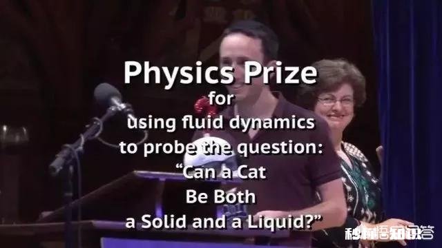 猫的身体为什么这么软