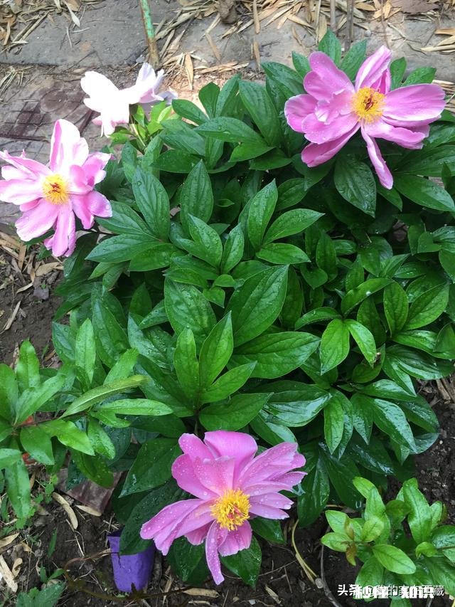 到期食品卖出去了怎么办