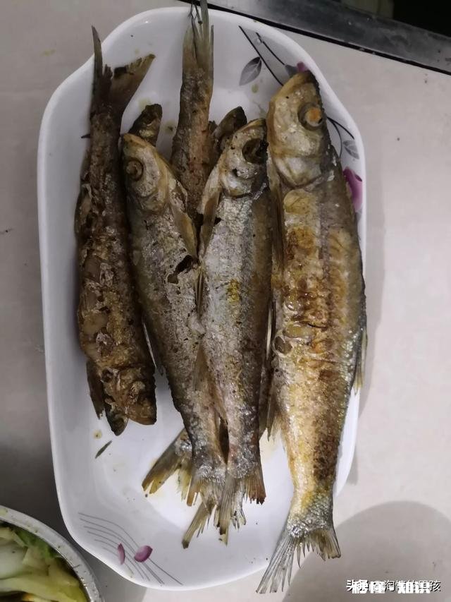 淡水鱼中你最喜欢钓哪种鱼为什么