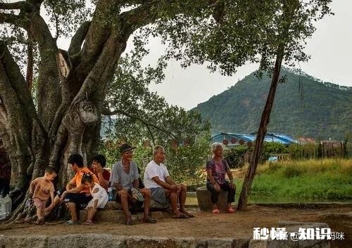 农村老人不习惯用风扇、空调,怎么给老人们一个凉爽的夏天