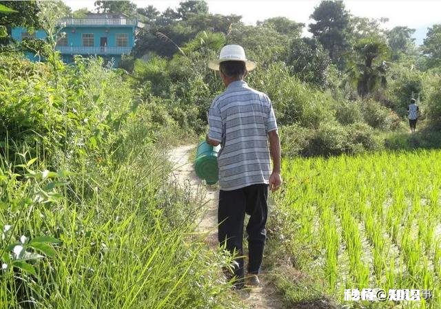 农村老人不习惯用风扇、空调,怎么给老人们一个凉爽的夏天