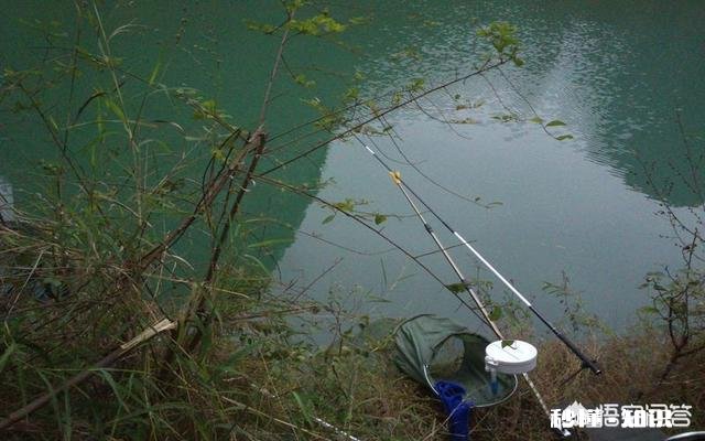 野钓水底水草较多,怎样调钓