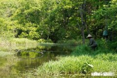 野钓水底水草较多，怎样调钓