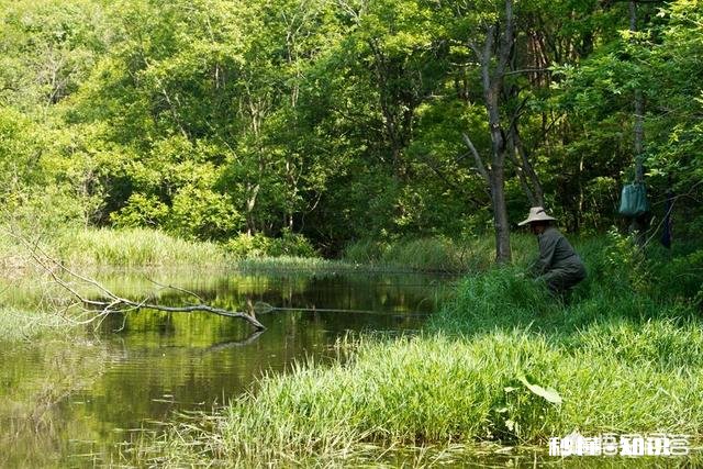 野钓水底水草较多,怎样调钓