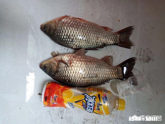 在活水水域垂钓,我的漂走水很严重。怎么解决