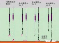 双勾带饵调平水，钓二目，饵在水下是离底的情况，这是怎么回事