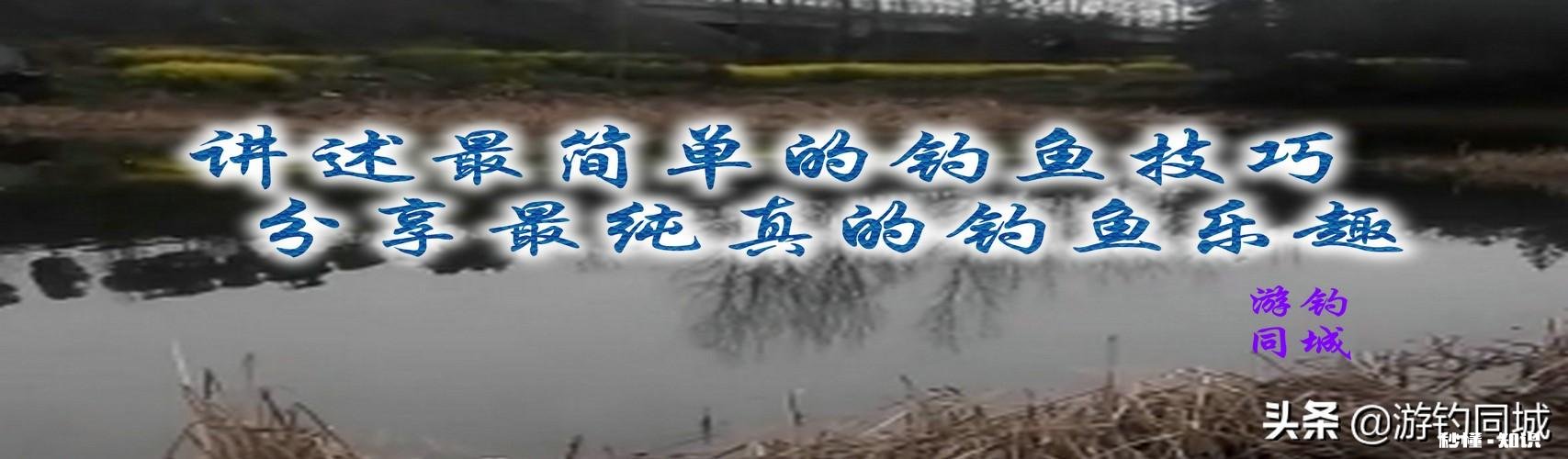 双勾带饵调平水，钓二目，饵在水下是离底的情况，这是怎么回事