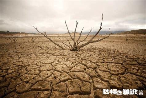 地球上80% 的水消失后会怎样