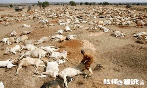 地球上80% 的水消失后会怎样