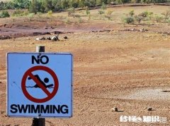 地球上80% 的水消失后会怎样