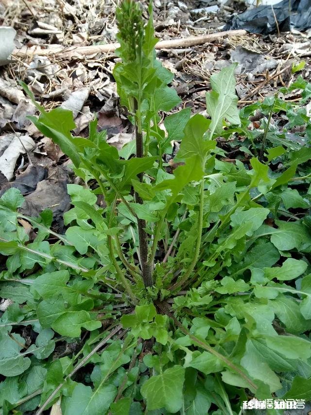 现在的社会，你觉得最会说谎的是什么样的人