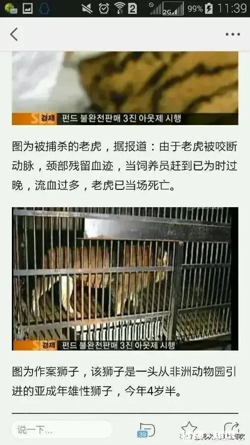 把一个足够大的老虎族群引入非洲,它们能在那里繁洐生息吗