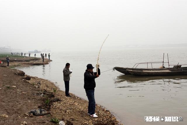 浑水池塘怎么钓鱼